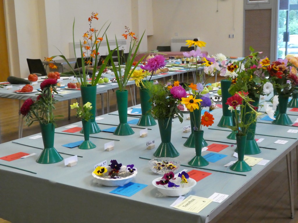 P1040365_Summer Show.JPG